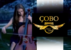 Kantina Cobo – Winery