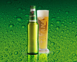 Tirana Beer – KUQALASHE